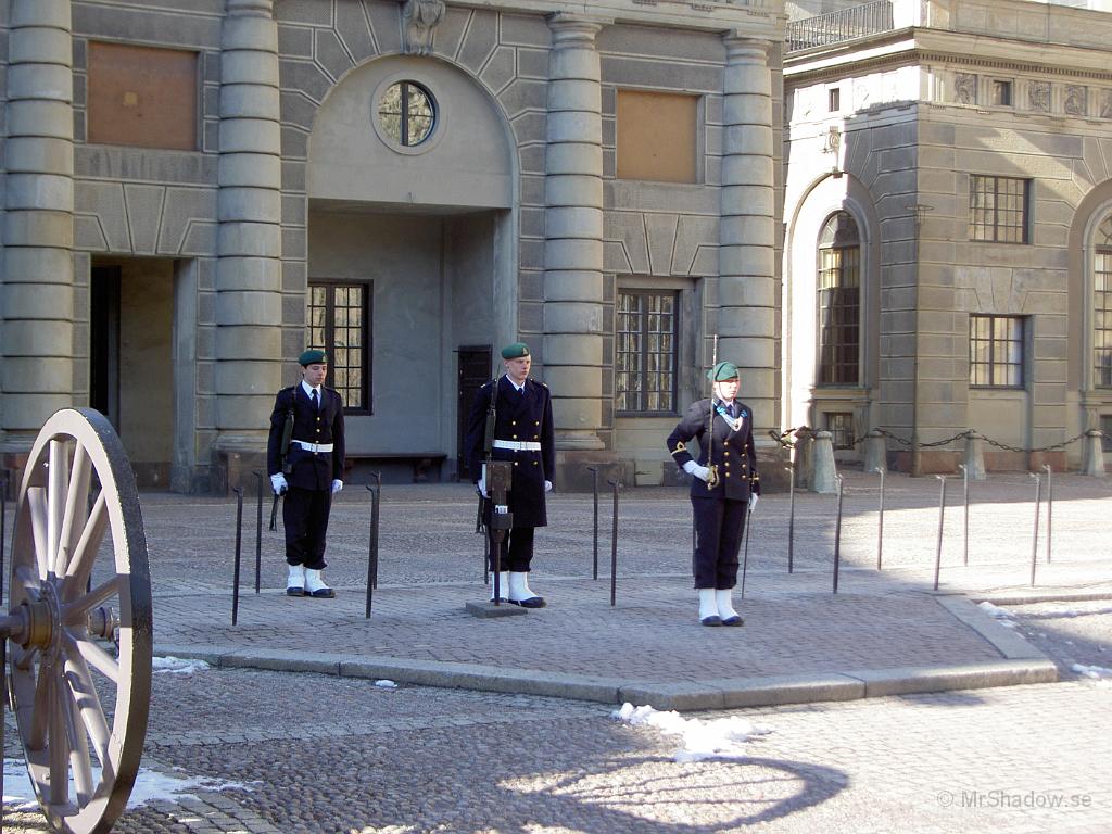 16-03b PICT0252.JPG
